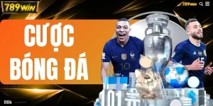 Cược Bóng Đá