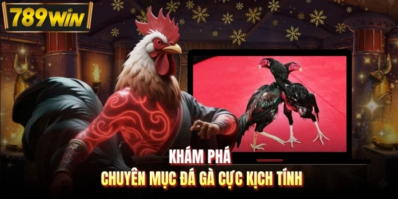Khám phá chuyên mục đá gà cực kịch tính